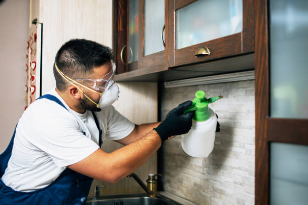 Professional Pest Control in Unadilla, GA