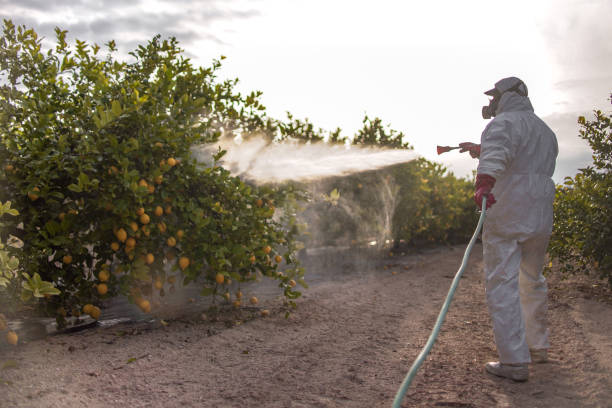 Best Best Pest Control Companies  in Unadilla, GA
