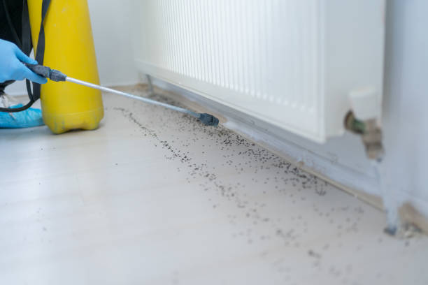 Best Cockroach Control Services  in Unadilla, GA